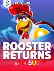 Experiência VIP Bet5U